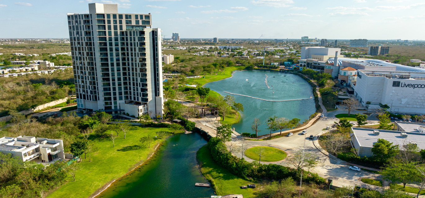 ¿Cuáles son los tipos de lotes?