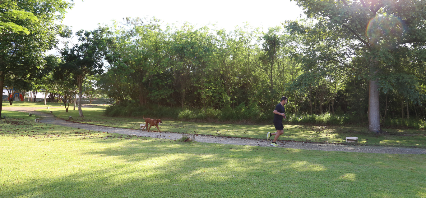 Espina Verde, las venas de Cabo Norte