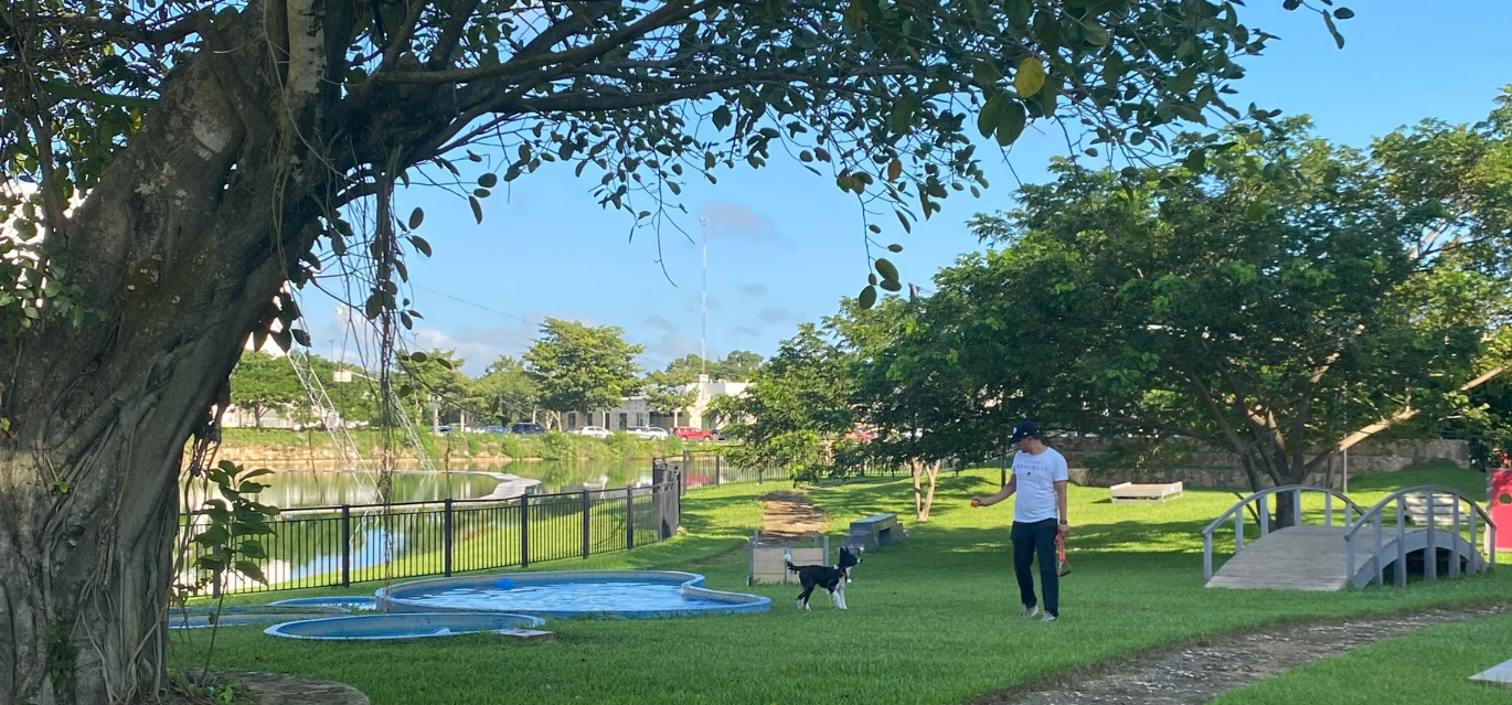 Vive en Cabo Norte en medio de la naturaleza